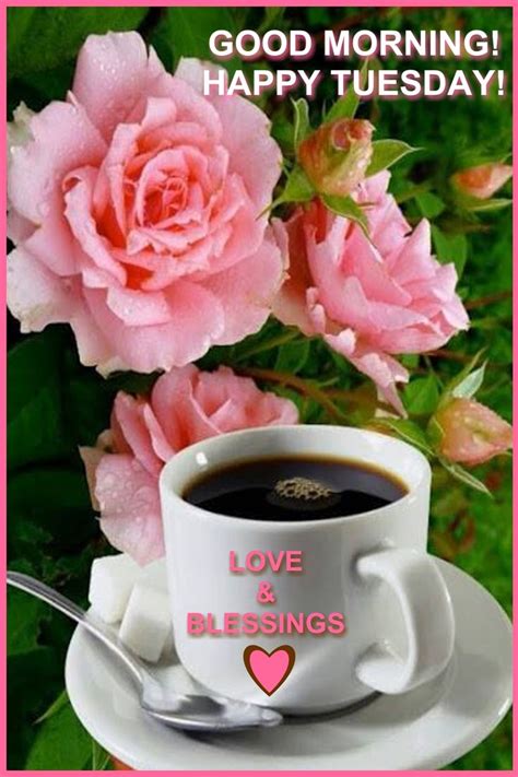 Pin By Rosa Well On TUESDAY BLESSINGS Coffee Flower Flowers Coffee Art