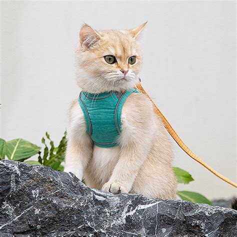 Mochi Escape Proof Cat Harness And Leash Missymomo