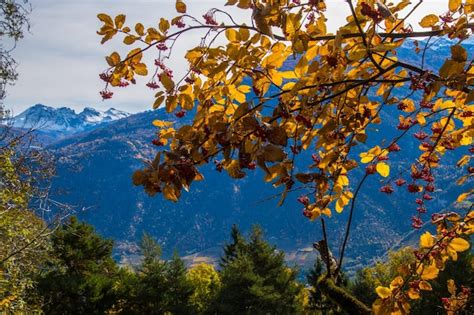 Paisaje De Los Alpes Suizos En Oto O Foto Premium