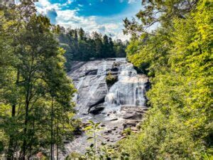 guide  dupont state forest north carolina