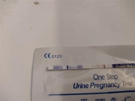 Sex Cez Neplodn Dni A Pozit Vny Test Modr Kon K