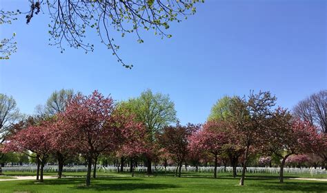 Fort Snelling National Cemetery Information and Visiting Hours 12
