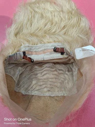 613 Blonde Human Hair Wigs At Rs 18000 Human Hair Wigs In Chennai ID 4729518312