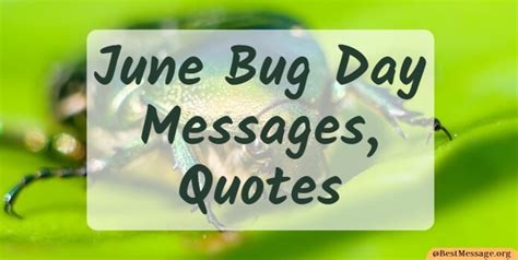 June Bug Day Messages Quotes And Sayings Sample Messages