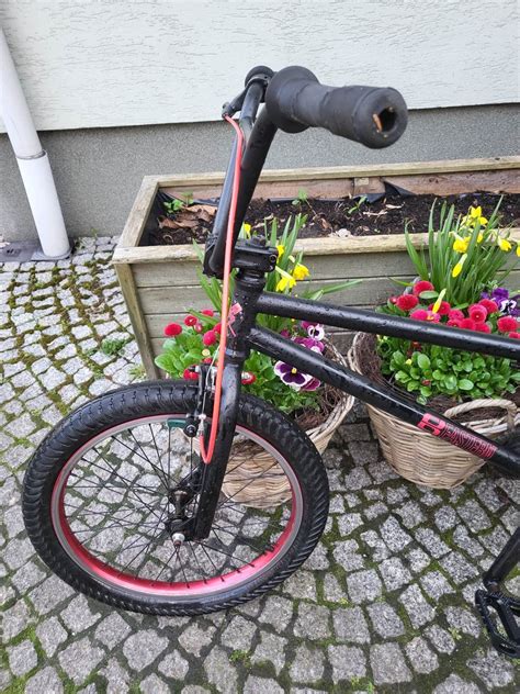 Rower Bmx Warszawa Kg Warszawa Rembert W Olx Pl