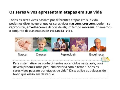 Plano De Aula O Ano Etapas Da Vida