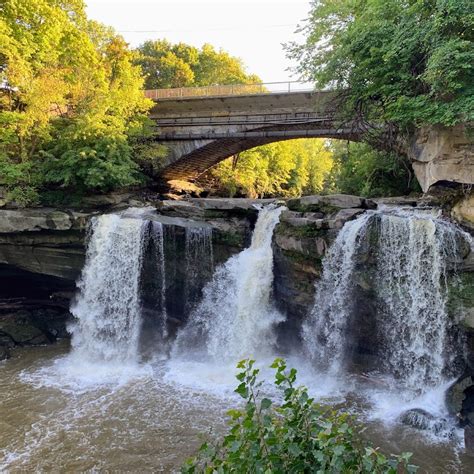 dog parks  elyria ohio