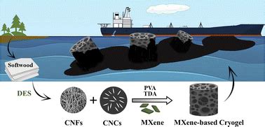 Ultrahigh Fluid Sorption Capacity Of Superhydrophobic And Tough