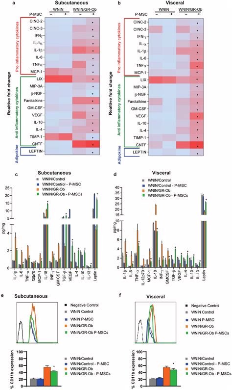 Human P Mscs Treatment Restores The Cytokine Expression Heat Maps Download Scientific Diagram