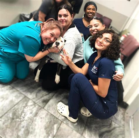 low cost animal clinic houston 10