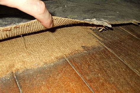 Asbestos Floor Removal Cost Remove Asbestos Tiles Or Underlay