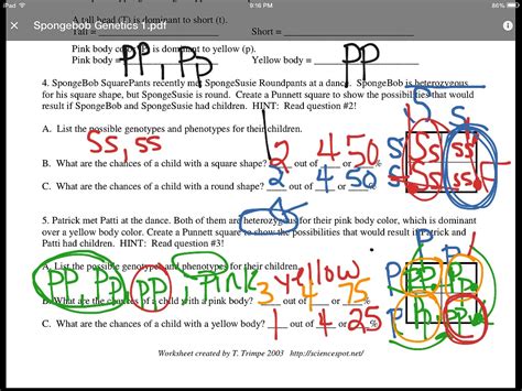 Bikini Bottom Genetics Worksheet