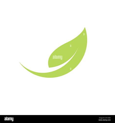 Fresh Freen Leaf Natural Environment Logo And Symbols Stock Vector