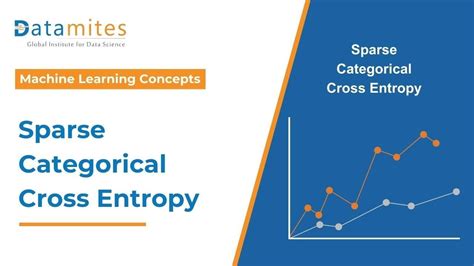 Sparse Categorical Cross Entropy Explanation And Practical Tips