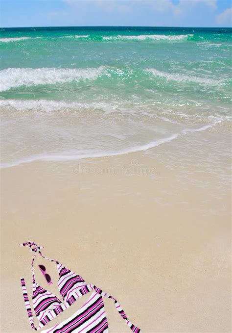 Bikini Florida Stock Photos Free Royalty Free Stock Photos From Dreamstime
