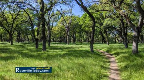 Placer County Looks To Future Of Parks Trails And Open Space