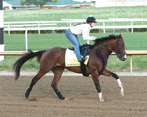 Kentucky Derby 2024 How Will The Gate Affect Post Positions