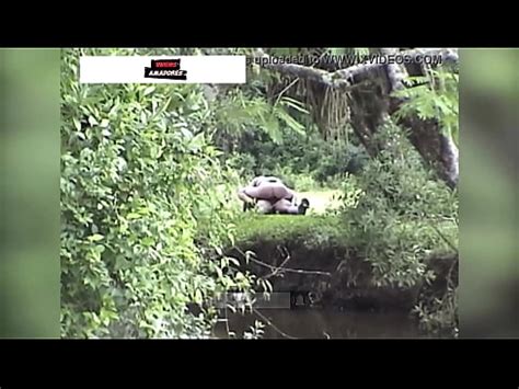 Ein Paar Vom Land Wird Beim Sex Im Busch Erwischt XVIDEOS