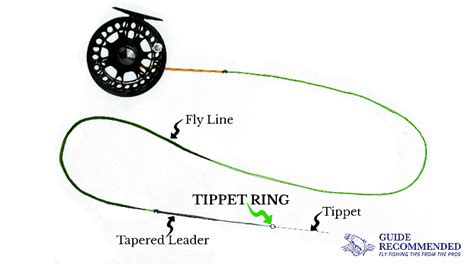 What Is A Fly Fishing Tippet Ring And How To Set Them Up Guide