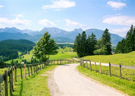 Kostenlose Foto Landschaft Baum Natur Wald Gras Berg Zaun Feld