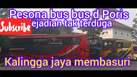 BUS KALINGGA JAYA MEMBASURI D TERMINAL PORIS PLAWAD YouTube