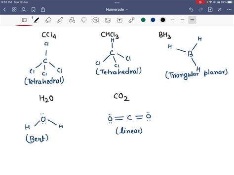 SOLVED The Following Molecules Contain Polar Covalent Bonds Which Of