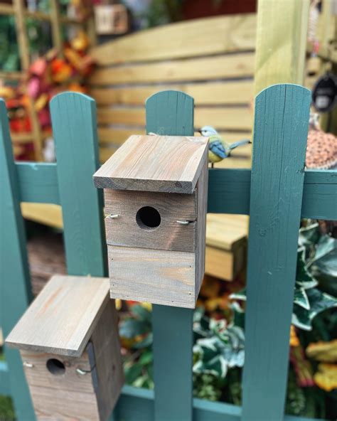 25 Garden Bird Feeders Ideas to Beautify Your Outdoor Space and Attract