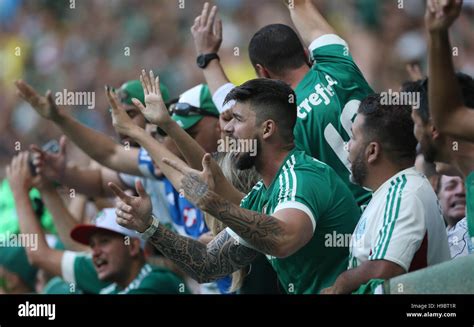 SÃO PAULO, SP - 20.11.2016: PALMEIRAS X BOTAFOGO - The crowd of SE ...