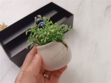 Kupas Tuntas Infinix Hot Pro Katanya Sih Gahar Jagofon Blog