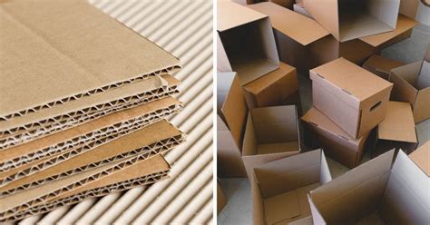 Can You Microwave Cardboard Quick Informational Guide