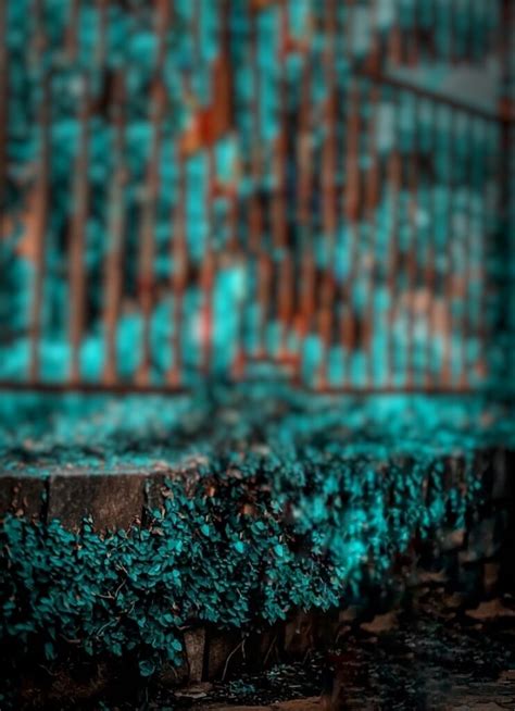 2500photo Editing Background 4k Free Images