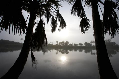images tagged swamp waterway habitat pristine environment coastal