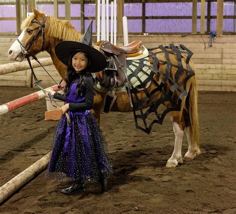 hilarious horse costume ideas  halloween artofit