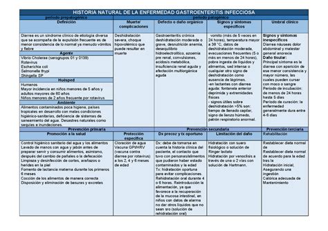 Hne Gastroenteritis Historia Natural De La Enfermedad Gastroenteritis