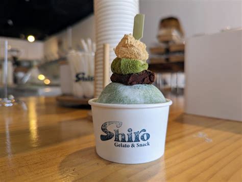 dancing flavours  shiro gelato good food gold coast