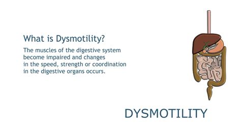 Dysmotility Youtube