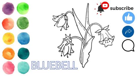 How To Draw Bluebell Easy And Simple Drawing Of Bluebell For Everyone