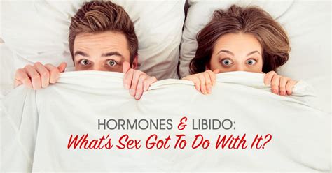 Hormones And Libido What S Sex Gotta Do With It Denver Hormone Health