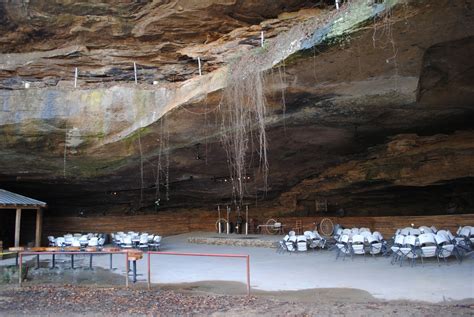 Brambly Pines: Rattlesnake Saloon
