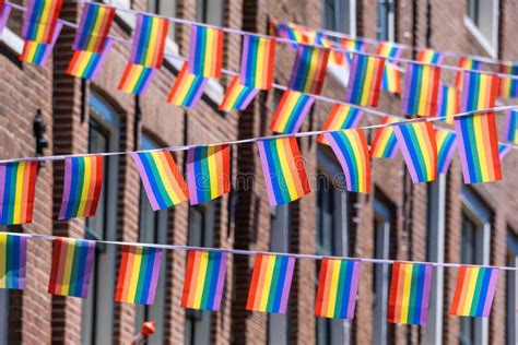 Many Small Gay Rainbow Flags Stock Photo Image Of Banner Human 250443492