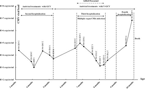 Changes in Cytomegalovirus (CMV) viral load (VL) and antiviral therapy ...