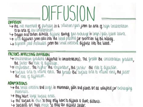 Diffusion Cell Biology Revision Poster Aqa Gcse Biology Double And