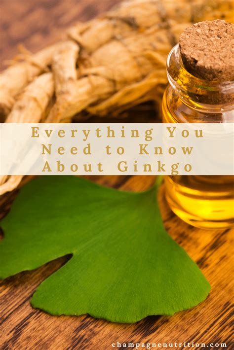 Everything you need to know about Ginkgo Natural Health