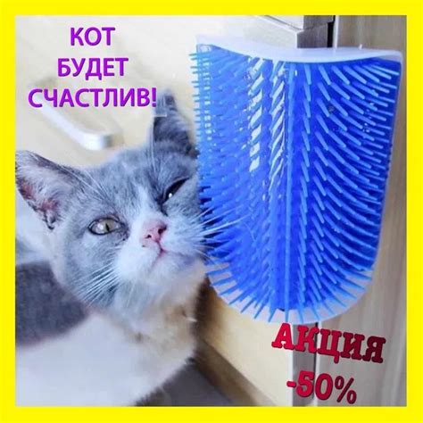 -50% Catit Self Groomer щетка настенная для кошек кота + Кошачья мята ...