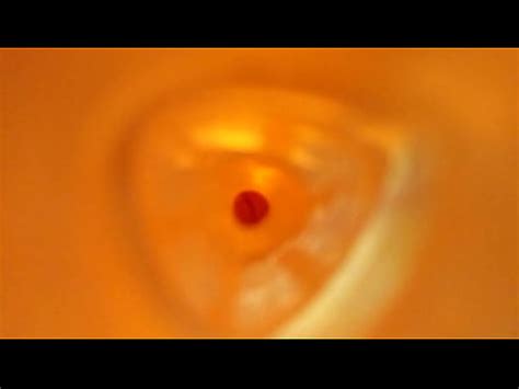 A Look Inside Of Fleshlight Ice Creampie 3 XVIDEOS