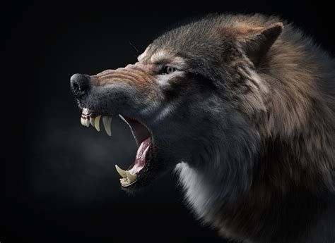 The Mad Wolf (studio render) on Behance