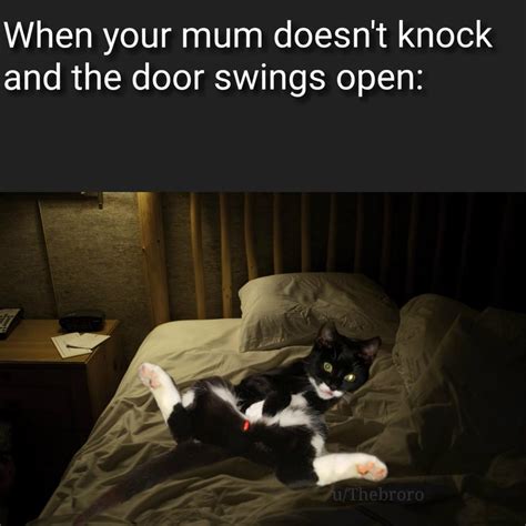 My Cats Such A Horny Fucker R Memes