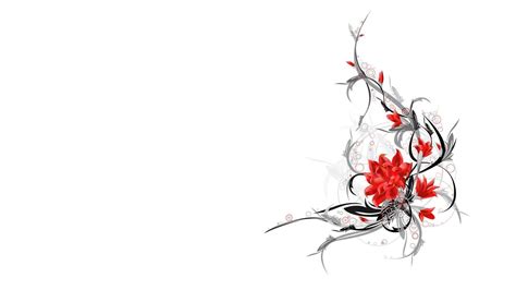 Download A Red Flower With A White Background | Wallpapers.com