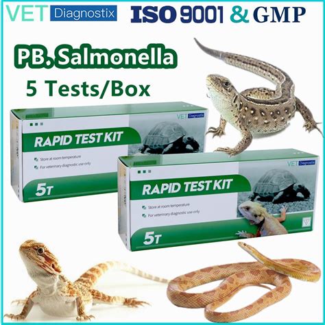Salmonella Test Kit Pet Reptile Salmonella Antigen Rapid Test Kit