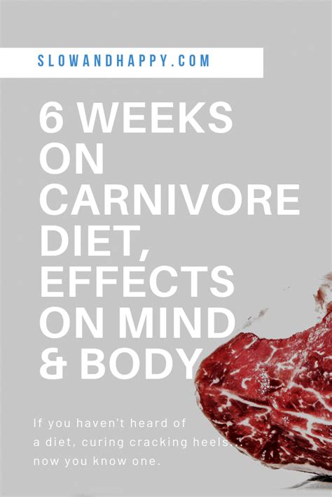 Carnivore Diet Recipes Artofit